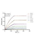 MRE11 Recombinant monoclonal antibody 87066-3-RR proteintech