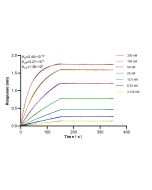 SEC10/EXOC5 Recombinant monoclonal antibody, PBS Only 87198-1-PBS proteintech