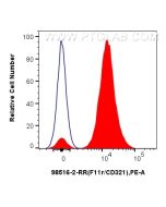 Anti-Mouse JAM-A/CD321 Rabbit Recombinant Antibody Proteintech  98516-2-RR