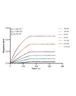 RBBP8 Recombinant monoclonal antibody, PBS Only 87232-1-PBS proteintech
