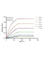 PFKFB3 Recombinant monoclonal antibody, PBS Only 87233-1-PBS proteintech