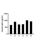 Human IgG3 Recombinant monoclonal antibody, PBS Only (Detector) 87288-3-PBS proteintech