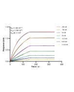 p70(S6K) Recombinant monoclonal antibody, PBS Only 87391-2-PBS proteintech