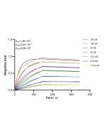 DYNC1LI2 Recombinant monoclonal antibody, PBS Only 87490-1-PBS proteintech
