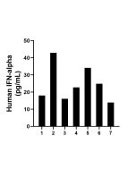 IFN-alpha Recombinant monoclonal antibody, PBS Only (Detector) 87610-1-PBS proteintech