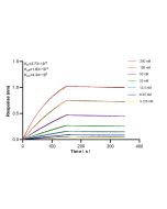 RAB3A Recombinant monoclonal antibody 87642-1-RR proteintech