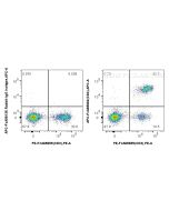 FcZero-rAb? APC Anti-Mouse CD4 (GK1.5) Rabbit IgG Recombinant Antibody Proteintech  APC-FcA65662