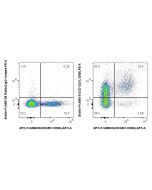 FcZero-rAb? Biotin Anti-Human CD122/IL-2RB Rabbit Recombinant Antibody Proteintech  Biotin-FcA98151