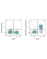 Anti-Mouse IL-7Ra/CD127 Rabbit Recombinant Antibody Proteintech  98385-1-RR