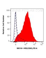 Anti-Human CD63 Rabbit Recombinant Antibody Proteintech  98318-1-RR