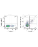 Anti-Human CD122/IL-2RB Rabbit Recombinant Antibody Proteintech  98151-1-RR