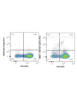 Anti-Human TCR Vγ5Vδ1 Rabbit Recombinant Antibody Proteintech  98527-1-RR