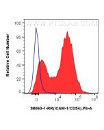 Anti-Rat ICAM-1/CD54 Rabbit Recombinant Antibody Proteintech  98060-1-RR