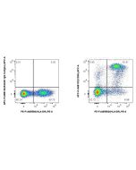FcZero-rAb? APC Anti-Human CD36 Rabbit Recombinant Antibody Proteintech  APC-FcA98132