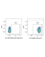 FcZero-rAb? APC Anti-Mouse CD47 Rabbit Recombinant Antibody Proteintech  APC-FcA98456-3