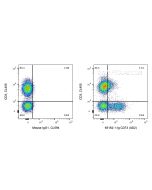 Anti-Human CD73 (AD2) Proteintech  65162-1-Ig