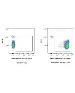 Anti-Mouse uPAR/CD87 Rabbit Recombinant Antibody Proteintech  98424-3-RR
