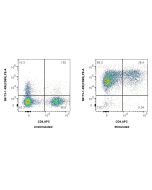 Anti-Human CD69 Rabbit Recombinant Antibody, PBS Only 98173-2-PBS proteintech