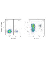 Anti-Human CXCR4/CD184 Rabbit Recombinant Antibody, PBS Only 98175-1-PBS proteintech