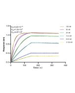 Anti-Human Siglec-7/CD328 Rabbit Recombinant Antibody, PBS Only 98183-1-PBS proteintech