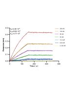 Anti-Human CD16b Rabbit Recombinant Antibody, PBS Only 98192-1-PBS proteintech