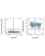 Anti-Mouse CD44 Rabbit Recombinant Antibody, PBS Only 98359-2-PBS proteintech