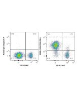 Anti-Human CD96 Rabbit Recombinant Antibody, PBS Only 98386-3-PBS proteintech