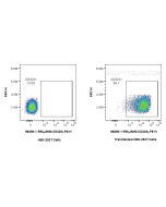 Anti-Human JAM2/CD322 Rabbit Recombinant Antibody, PBS Only 98390-1-PBS proteintech