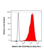 Anti-Human PDGFR beta/CD140b Rabbit Recombinant Antibody 98405-2-RR proteintech