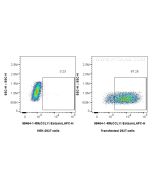 Anti-Mouse CCL11/Eotaxin Rabbit Recombinant Antibody, PBS Only 98464-1-PBS proteintech