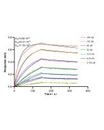 Anti-Mouse CCL20/MIP-3 alpha Rabbit Recombinant Antibody, PBS Only 98519-1-PBS proteintech