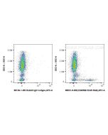 Anti-Human CD45RB/RAB Rabbit Recombinant Antibody, PBS Only 98531-5-PBS proteintech