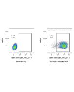 Anti-Mouse IL-25/IL-17E Rabbit Recombinant Antibody 98536-3-RR proteintech