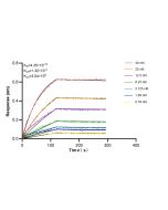 Anti-Mouse NTB-A/SLAMF6 Rabbit Recombinant Antibody, PBS Only 98541-1-PBS proteintech