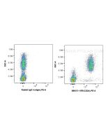Anti-Human CD24 Rabbit Recombinant Antibody, PBS Only 98615-1-PBS proteintech
