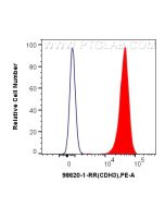Anti-Human P-cadherin Rabbit Recombinant Antibody, PBS Only 98620-1-PBS proteintech