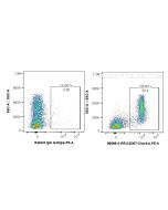 Anti-Mouse CD367/CLEC4A Rabbit Recombinant Antibody, PBS Only 98688-2-PBS proteintech