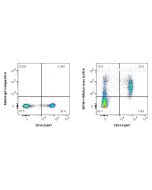 Anti-Human HLA class II Rabbit Recombinant Antibody, PBS Only 98748-1-PBS proteintech