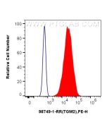 Anti-Human TGM2 Rabbit Recombinant Antibody, PBS Only 98749-1-PBS proteintech