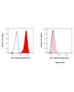 FcZero-rAb? APC Anti-Human E-cadherin Rabbit Recombinant Antibody Proteintech  APC-FcA98123