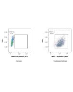 Anti-Human TNFSF12 Rabbit Recombinant Antibody Proteintech  98582-1-RR