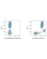 FcZero-rAb? APC Anti-Human SIRP Alpha/CD172a Rabbit Recombinant Antibody Proteintech  APC-FcA98101