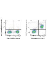 FcZero-rAb? Biotin Anti-Mouse CSF2RA/CD116 Rabbit Recombinant Antibody Proteintech  Biotin-FcA98196
