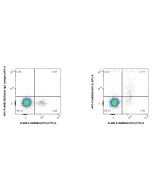 FcZero-rAb® APC Anti-Human CD1c (L161) Rabbit Recombinant Antibody APC-FcA65626 proteintech