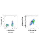 FcZero-rAb® APC Anti-Human PD-1/CD279 Rabbit Recombinant Antibody APC-FcA98068 proteintech