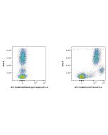 FcZero-rAb® APC Anti-Human SIRP Alpha/CD172a Rabbit Recombinant Antibody APC-FcA98101 proteintech