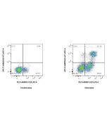 FcZero-rAb® APC Anti-Mouse Ki-67 Rabbit Recombinant Antibody APC-FcA98224 proteintech