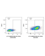FcZero-rAb® APC-Cyanine7 Anti-Mouse CD86 Rabbit Recombinant Antibody AY7-FcA98025 proteintech
