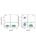 Biotin Anti-Human CD19 (4G7) Mouse IgG2a Recombinant Antibody Biotin-65562 proteintech