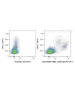 Biotin Anti-Human CD85j / LILRB1 (GHI/75) Mouse IgG2a Recombinant Antibody Biotin-65623 proteintech